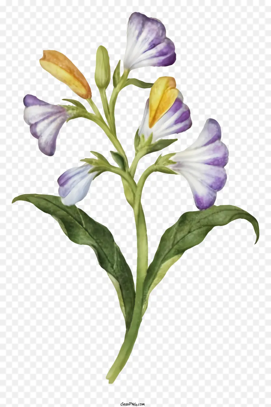 Pintura，Flores Silvestres PNG