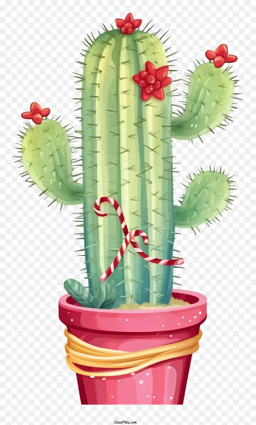 Cactus，Cor De Rosa Pote PNG
