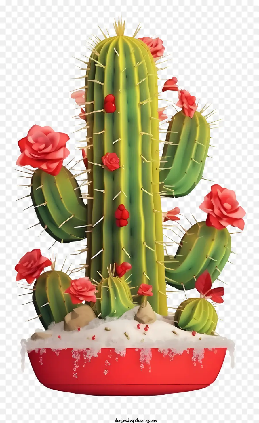 Cactus，Vermelho Pote PNG