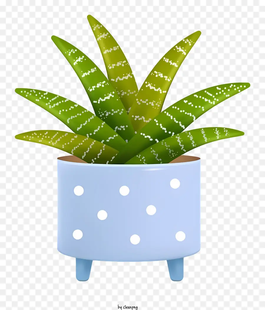 Planta Aloe Vera，Um Vaso De Planta PNG