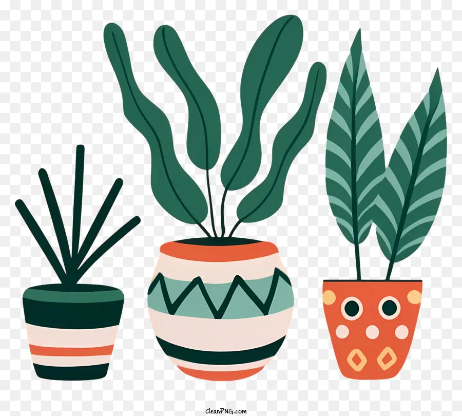 Vasos De Plantas，Cactos PNG