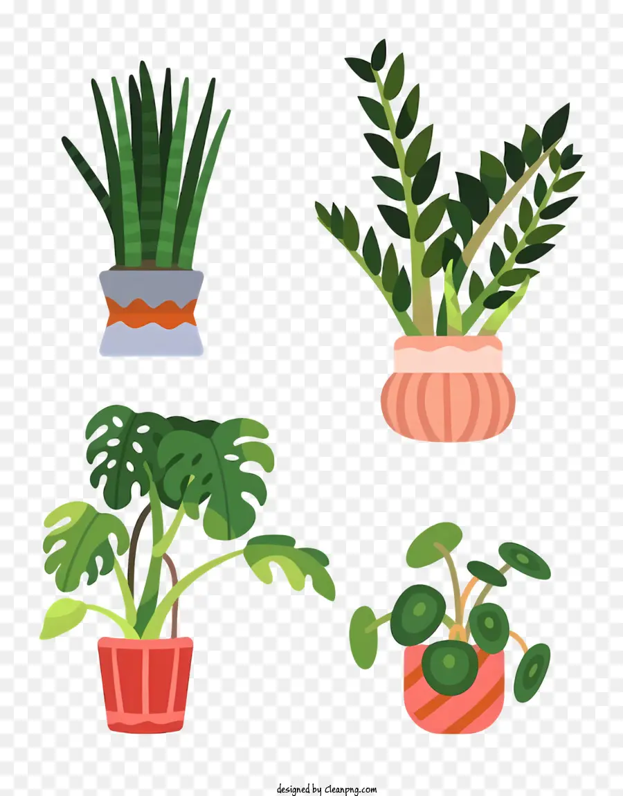 Plantas De Casa，Tipos De Plantas Domésticas PNG
