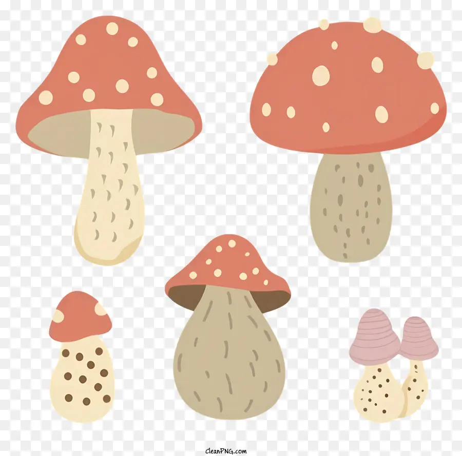 Cogumelos，Tamanhos Variados PNG