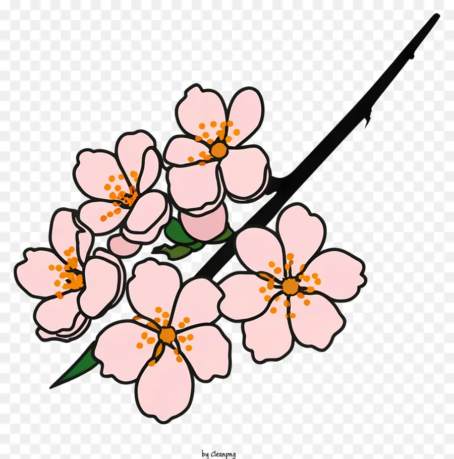 Flor De Cerejeira，Desenho De Flor PNG
