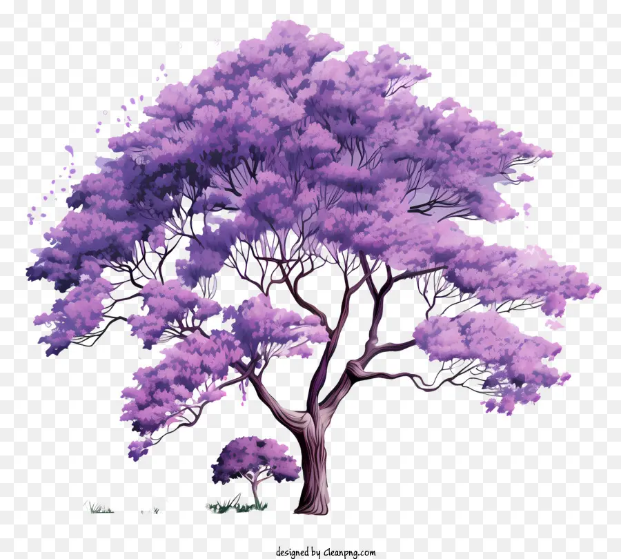 árvore Com Flores Rosa，Céu Claro PNG