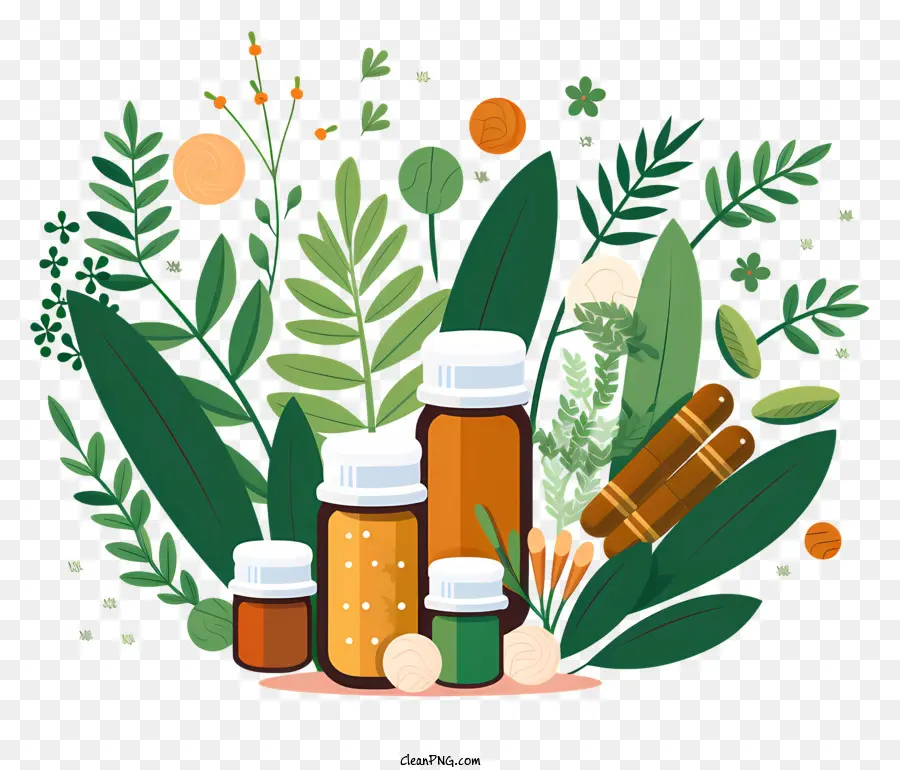 Ervas Medicinais，Remédios Naturais PNG