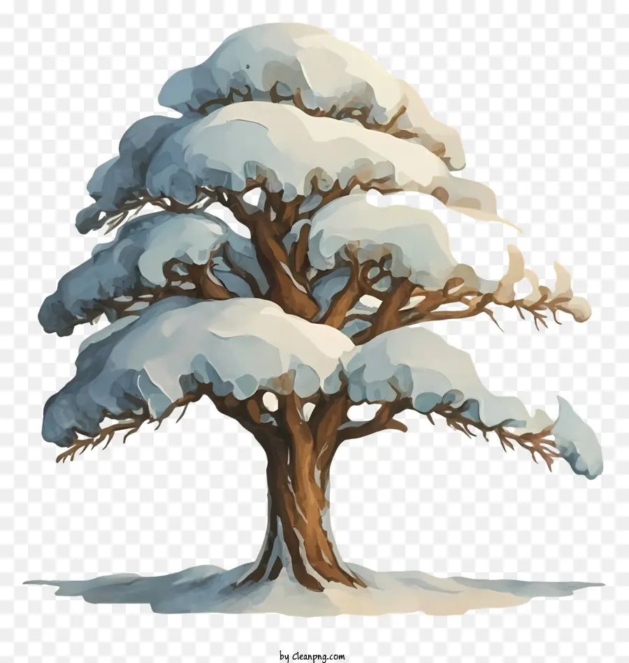 árvore Coberta De Neve，Tempestade De Inverno PNG