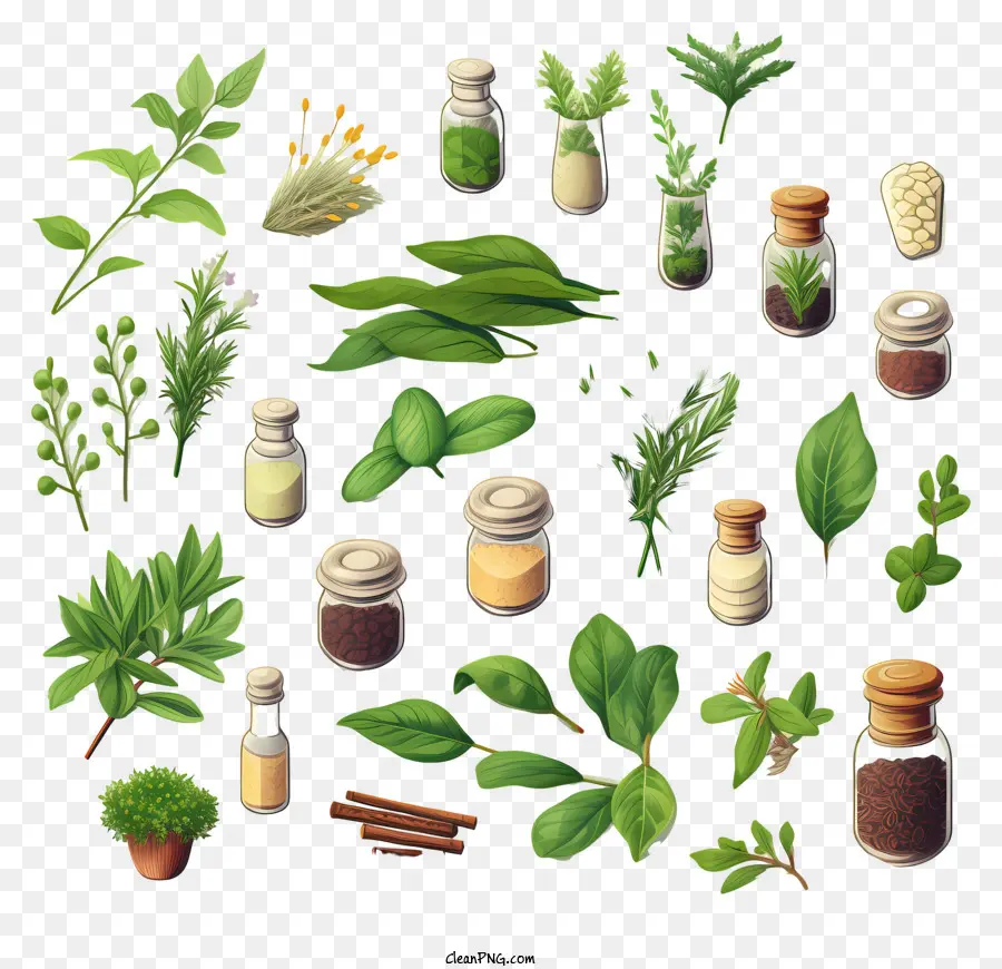 Herbs，Especiarias PNG