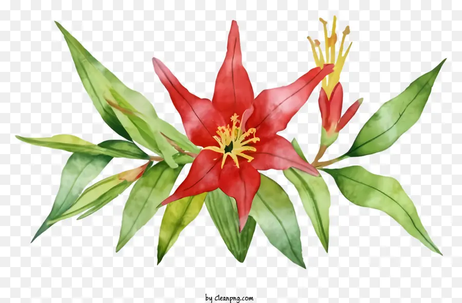 Flor Vermelha，Folhas Verdes Longas PNG