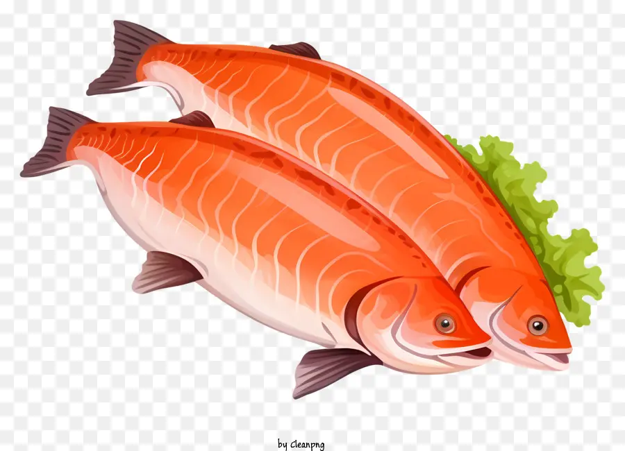 Salmão Fresco，Peixe Inteiro PNG