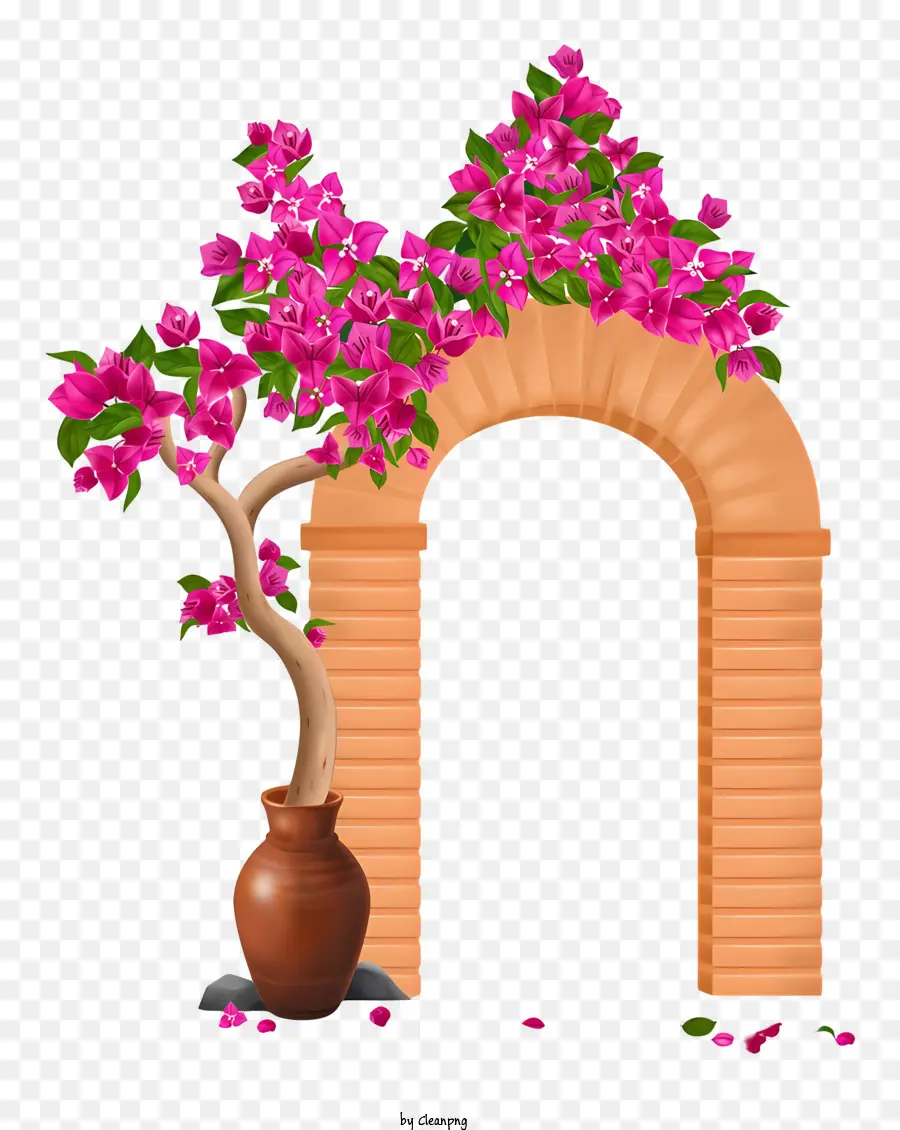 Caminho Do Jardim，Árvores De Floração Rosa PNG