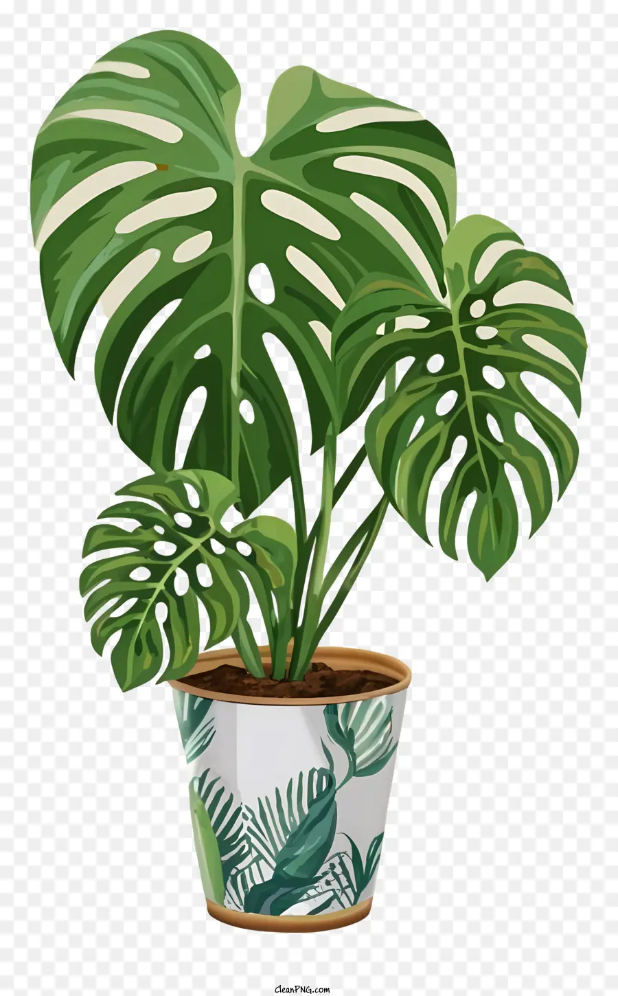 Planta Em Vasos De Monstros，Folhas Verdes Escuras PNG