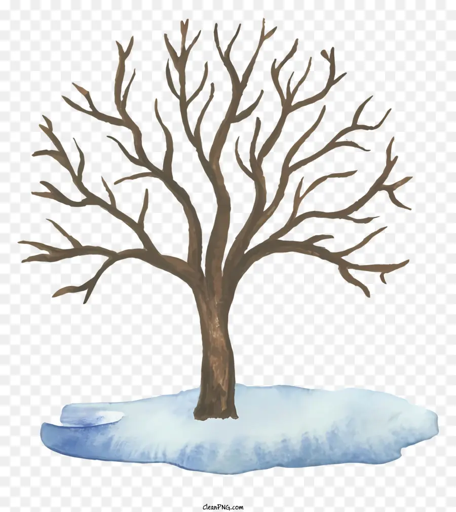 árvore De Inverno，Snowy árvore PNG