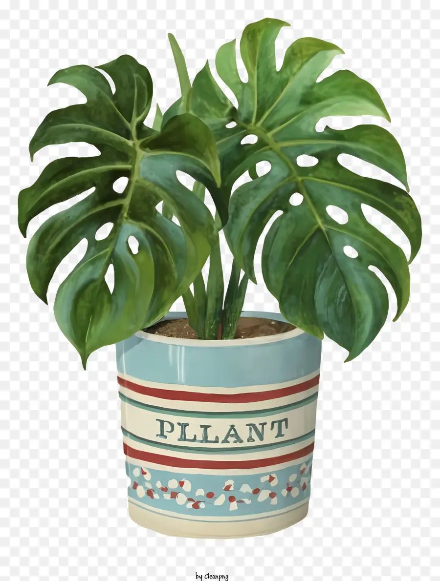 Planta Em Vaso Pequeno，Planta Em Vaso PNG