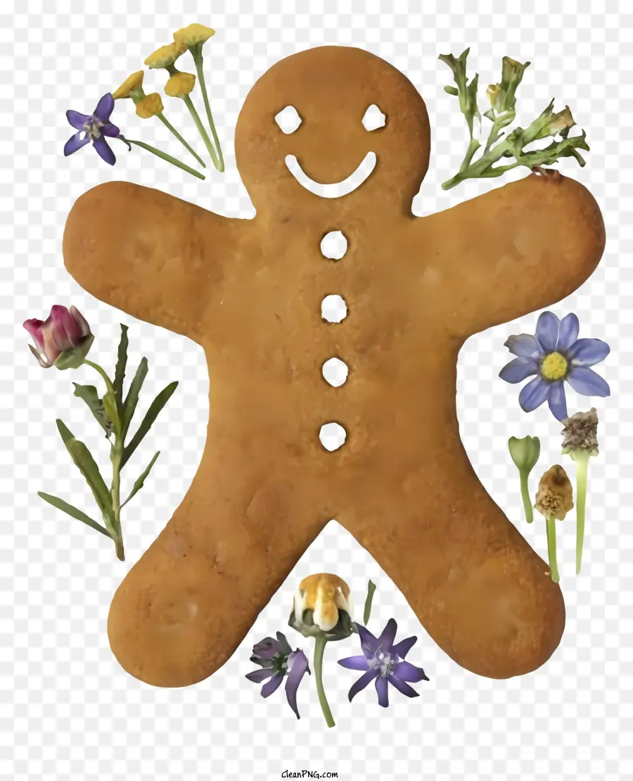 Homem De Gengibre，Cookies PNG