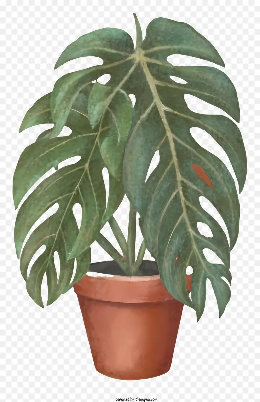 Planta Verde，Potão Marrom PNG