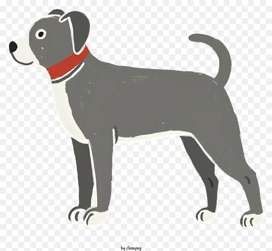 Cachorro Cinza，Cão Branco PNG