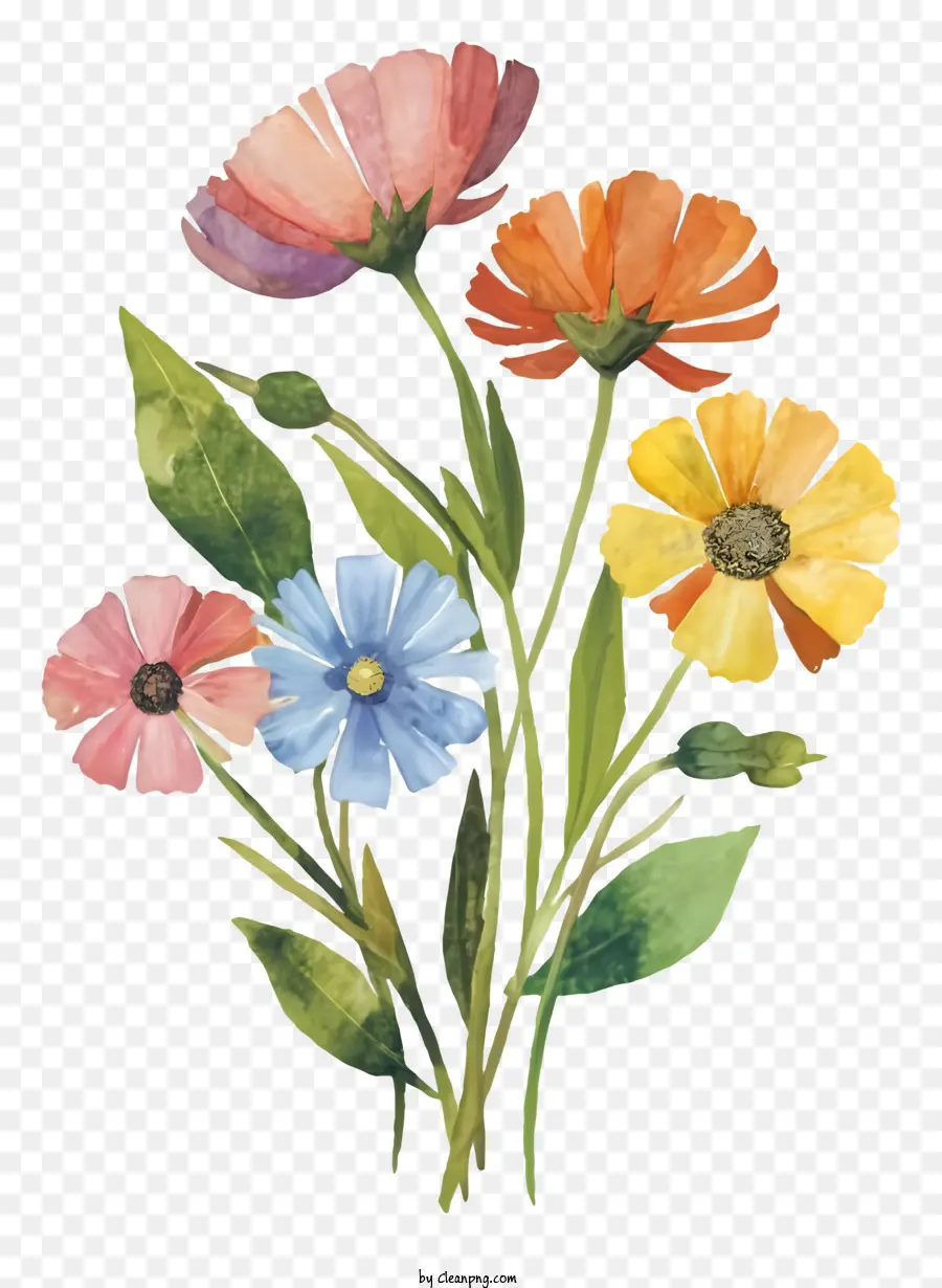 Pintura Em Aquarela，Bouquet Of Flowers PNG