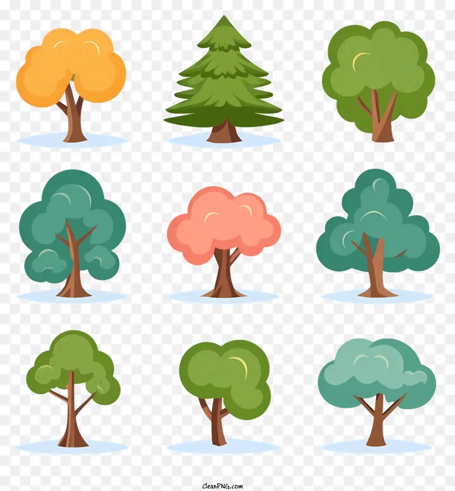 árvores Em Diferentes Estações，Tipos De árvores PNG