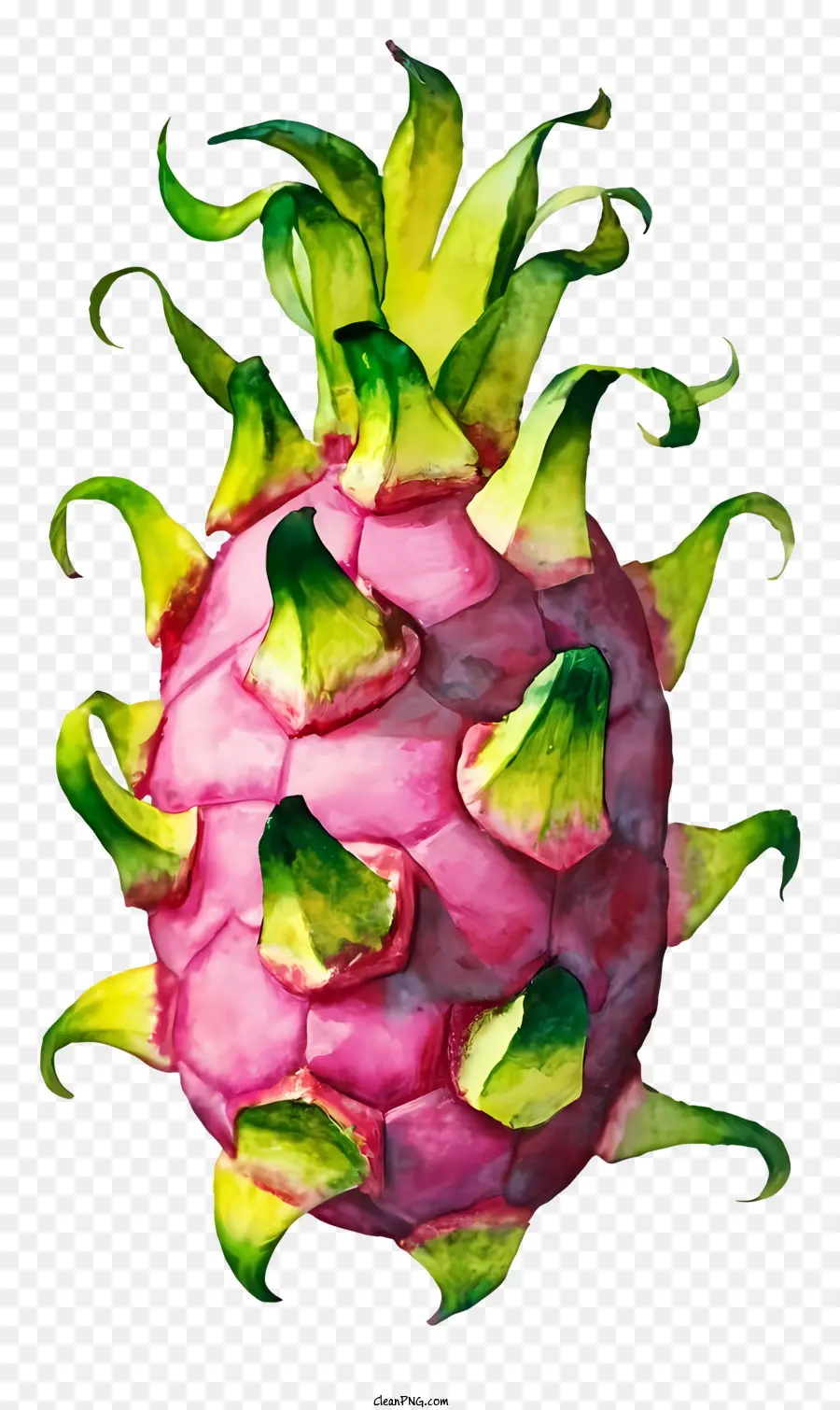 A Fruta Do Dragão，Cor De Rosa De Frutas PNG