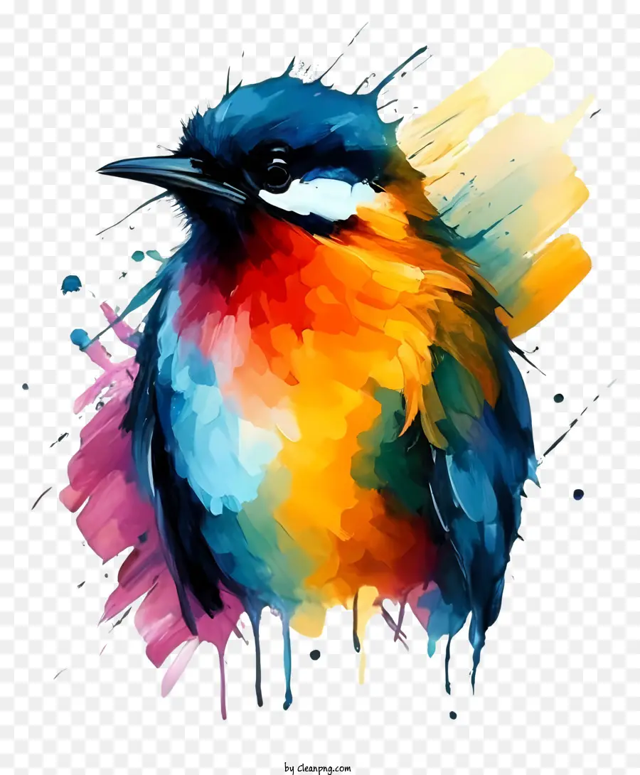 Pássaro Colorido，Penas Vibrantes PNG