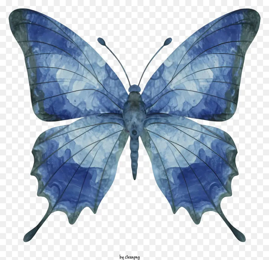 Borboleta Azul，Butterfly Grande PNG