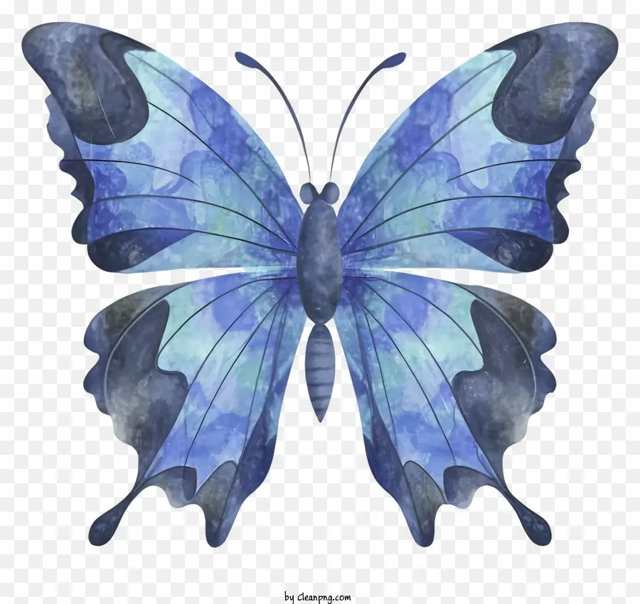 Borboleta Azul，Asas Grandes PNG