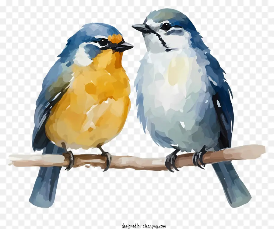 Pintura Em Aquarela，Pássaros Azuis E Laranja PNG