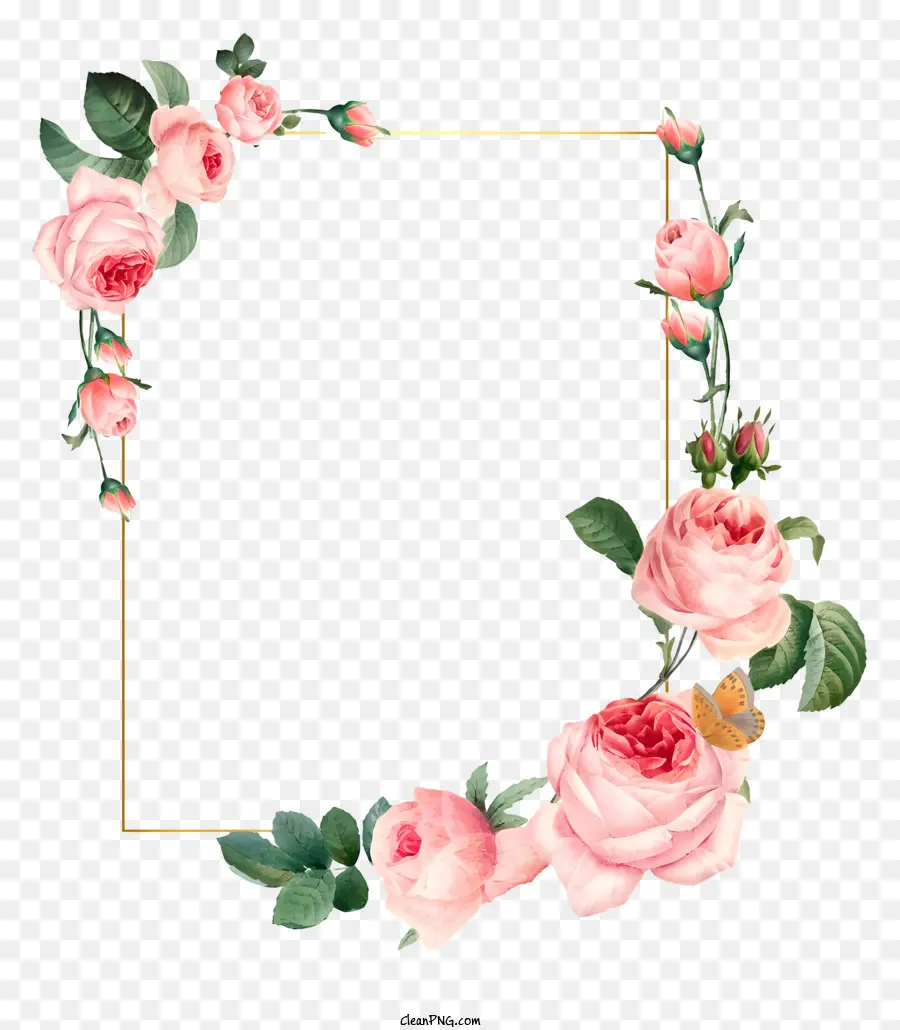 Rose Quadro，Floral Moldura PNG