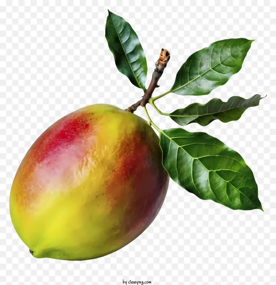 Mango，Manga Madura PNG