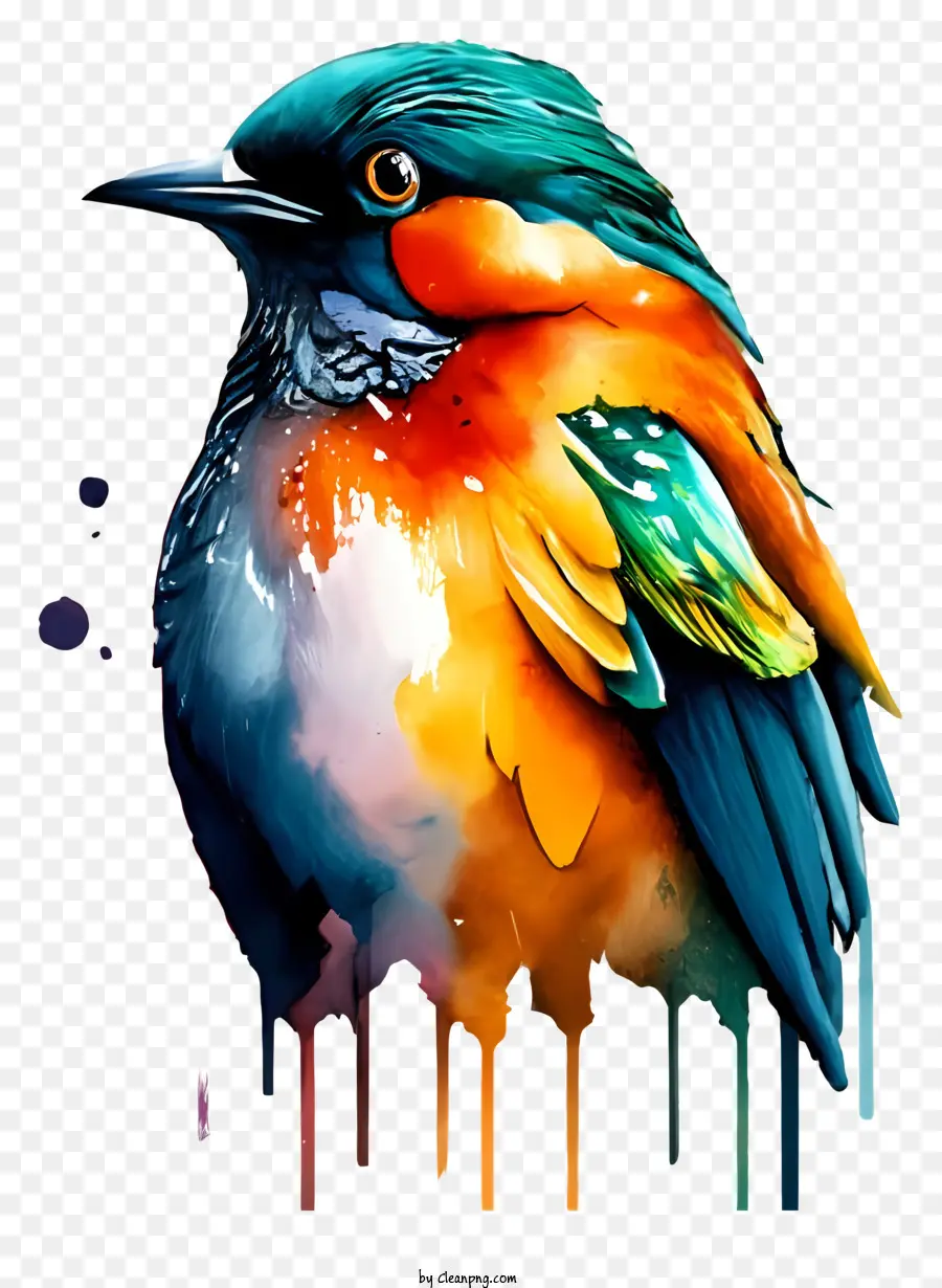 Pintura Digital，Pássaro Colorido PNG