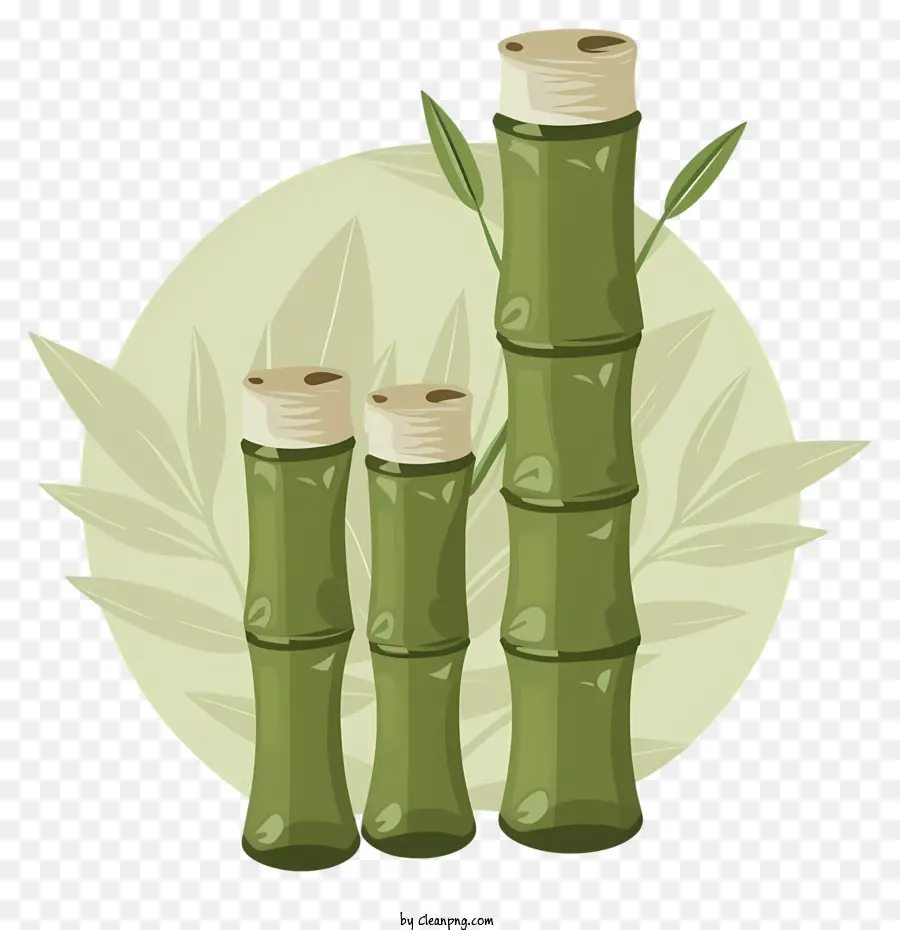 Broto De Bambu，Bambu Verde PNG