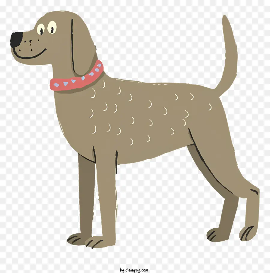 Cachorro Marrom，Cachorro PNG