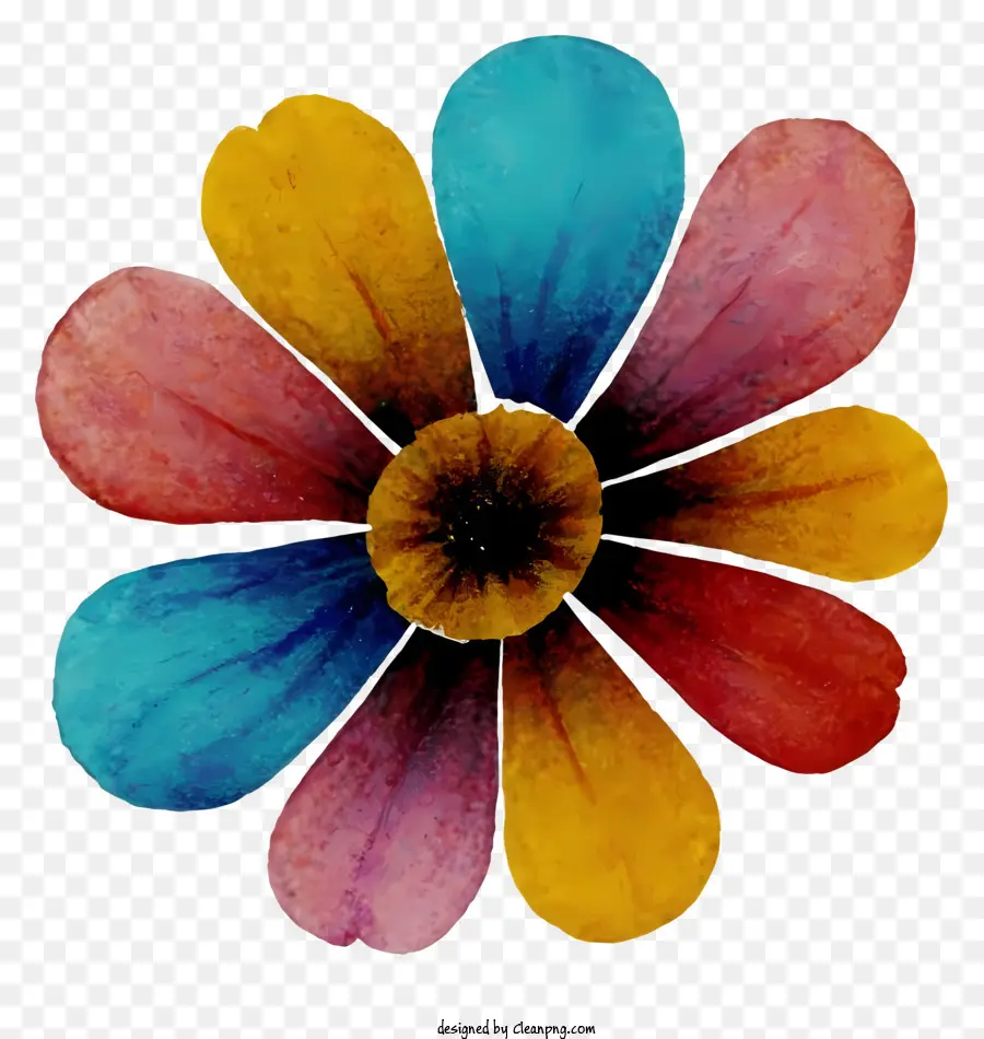 Flor Multicolorida，Cera Flor PNG