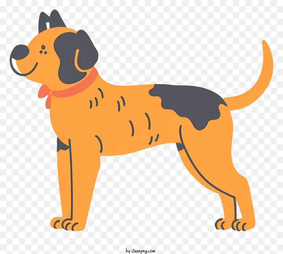 Cachorro，Cola Laranja PNG