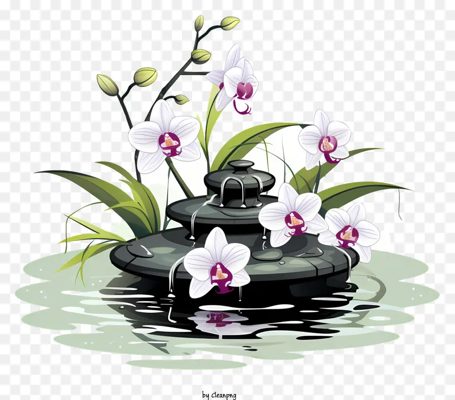 Característica Da água，Orquídeas Brancas PNG