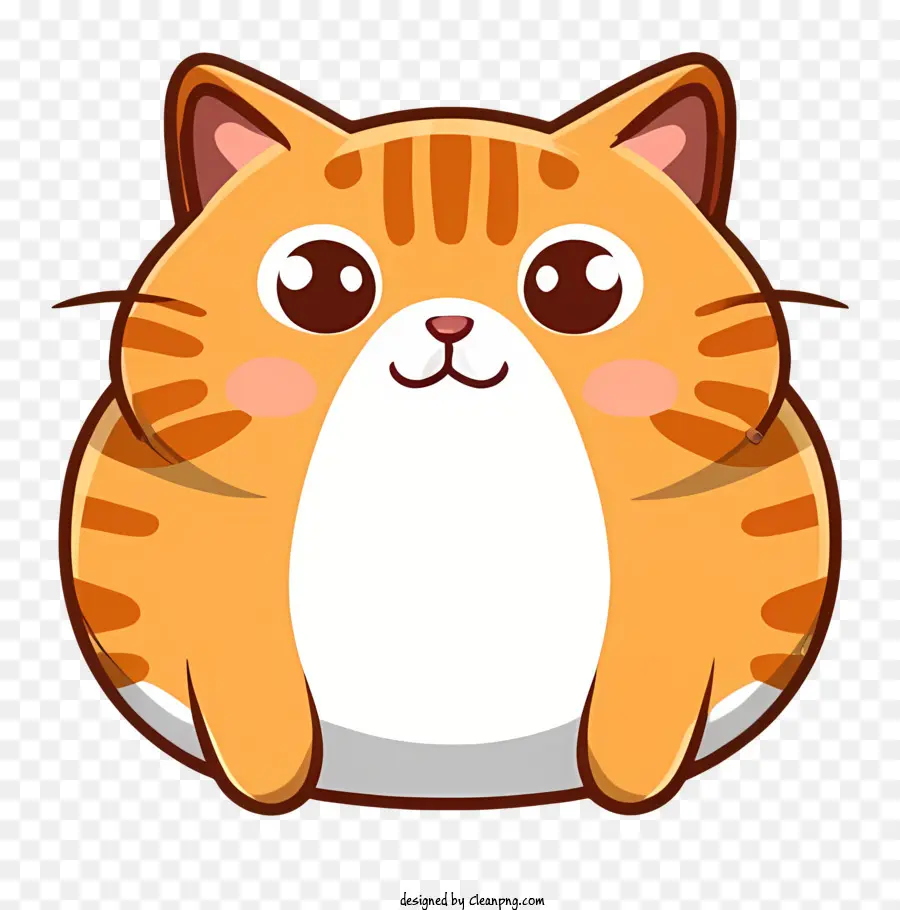 Gato Bonito，Olhos Grandes PNG