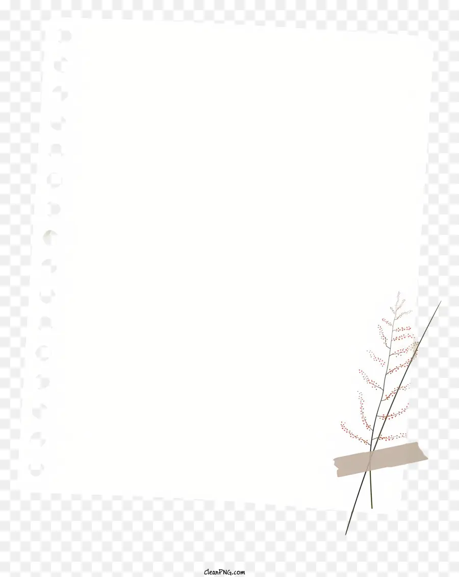 Livro Branco，Moldura Minimalista PNG