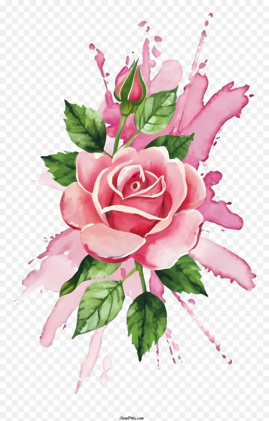 Pintura Em Aquarela，Rosa Cor De Rosa PNG