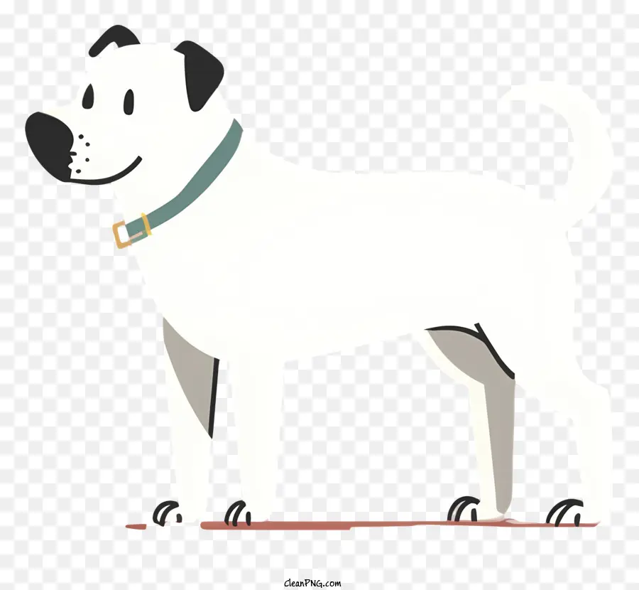 Cão Branco，Colar PNG