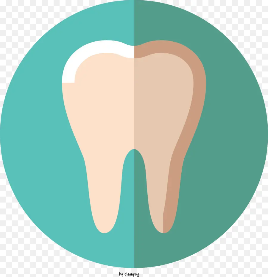 A Cárie Dentária，Higiene Dental PNG