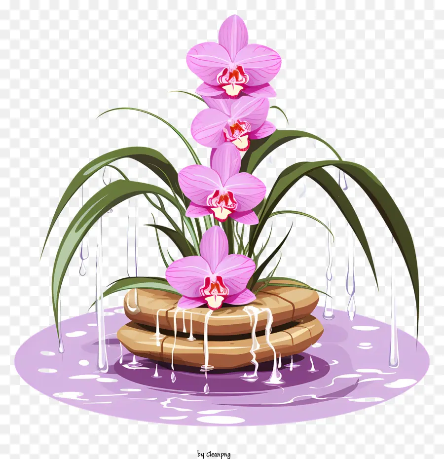 Cor De Rosa Orquídea，Vaso De água PNG