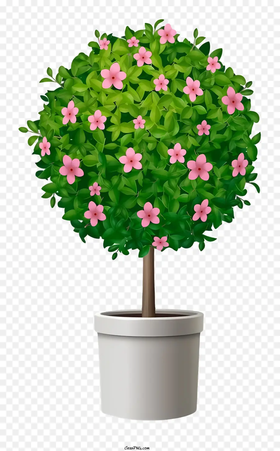 Pequena árvore Em Vaso，Flores Cor De Rosa PNG