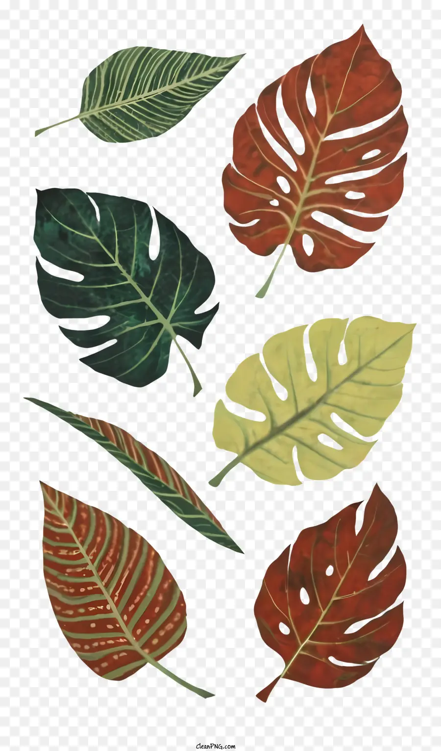 Tropical Folhas，Pintura Em Aquarela PNG