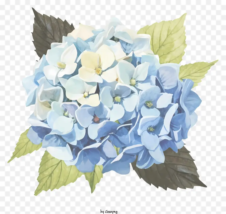 Flor Azul E Branca，Pétalas Em Forma De Sino PNG