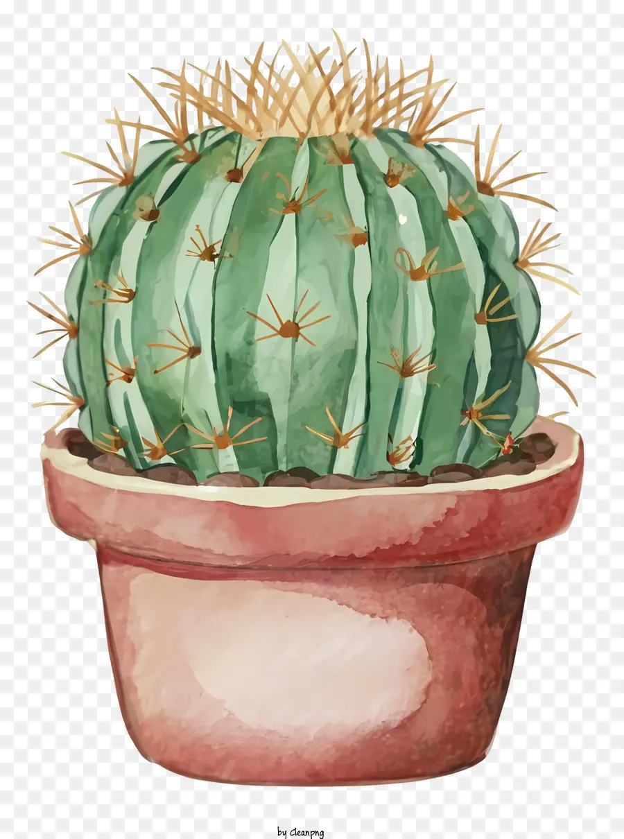 Cactus Pintura，Aquarela Do Cacto PNG