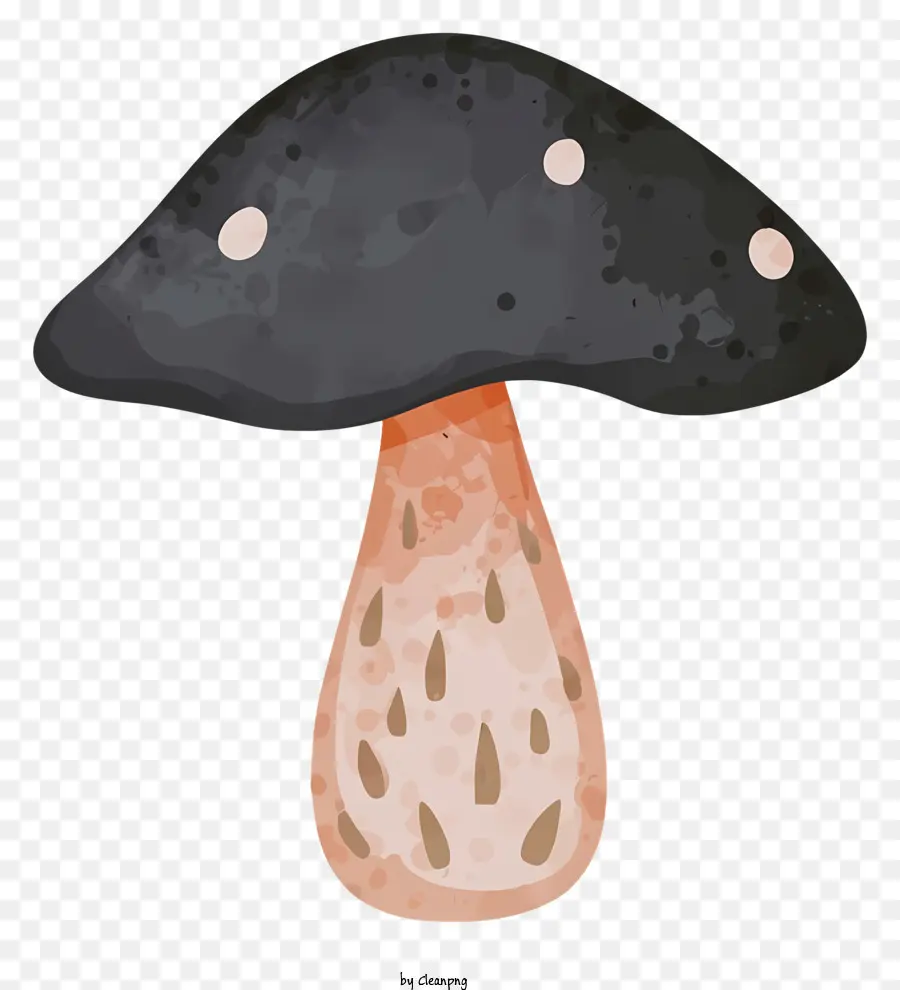 Toadstool，Cogumelo PNG