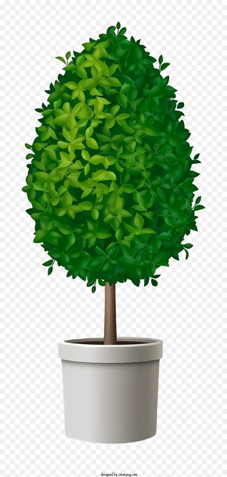 Uma árvore Bonsai，Planta Interna PNG