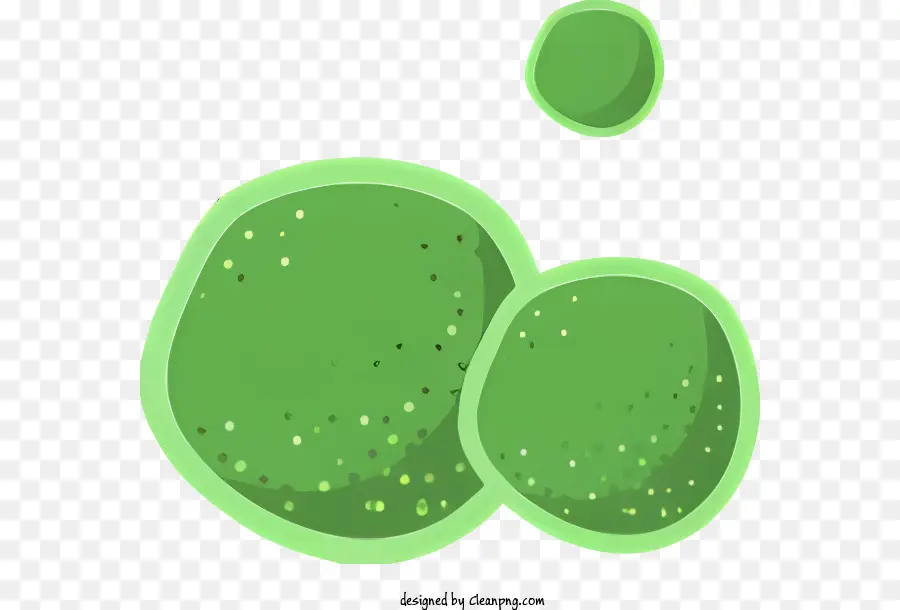 Bactérias Microscópicas，Bactérias Verdes PNG