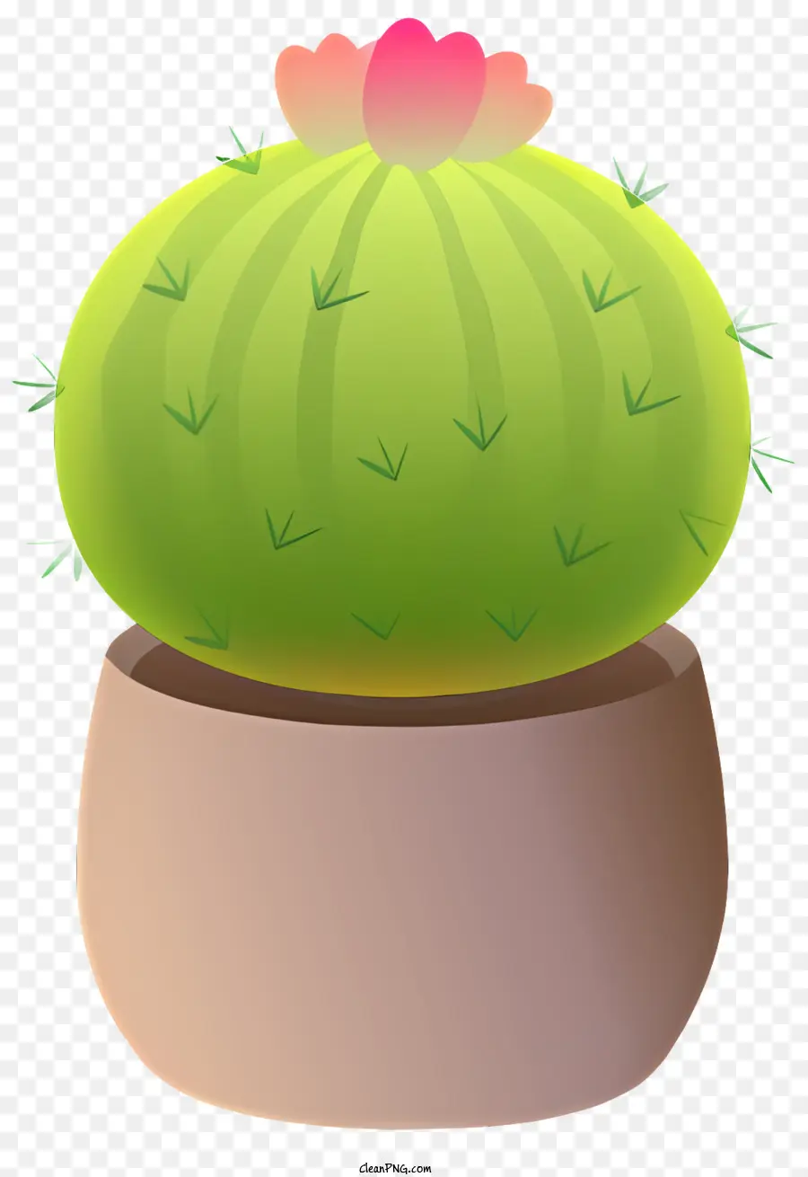 Cacto，Pote PNG